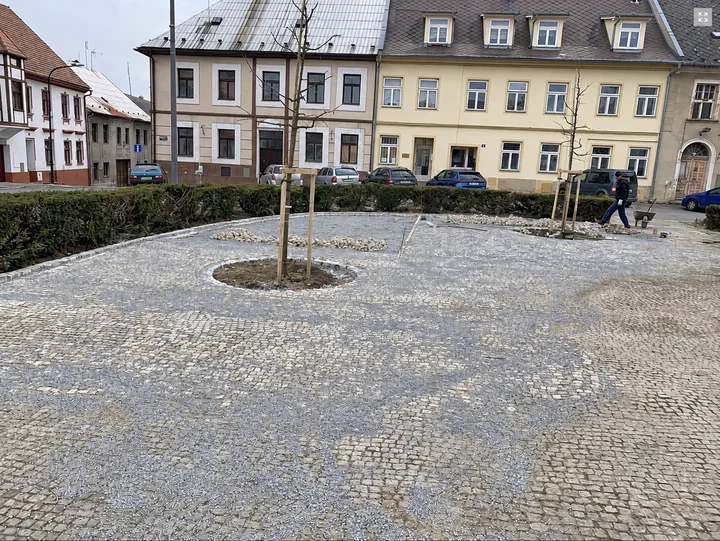 Žulové dlažební kostky kolem stromů před řadou městských domů
